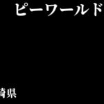 愛知県のp World非掲載店 未登録店まとめ スロリスクタイム