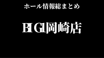 BIG1岡崎店
